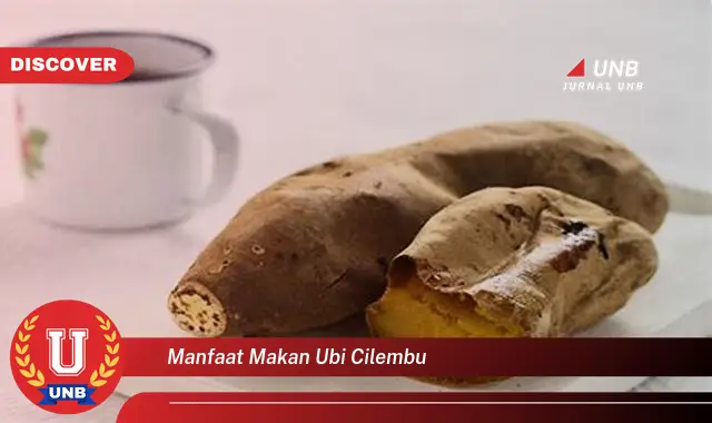 manfaat makan ubi cilembu