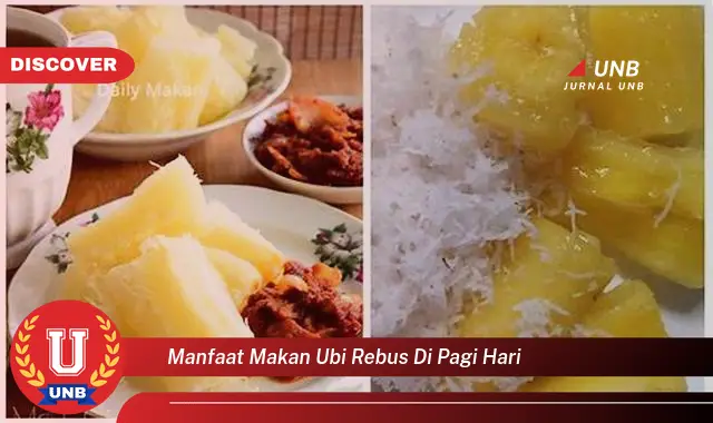 manfaat makan ubi rebus di pagi hari