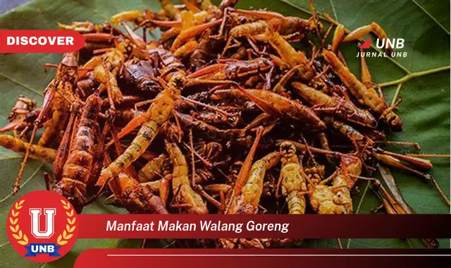 manfaat makan walang goreng