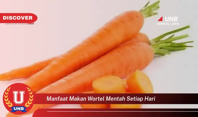 manfaat makan wortel mentah setiap hari manfaat makan wortel mentah setiap hari