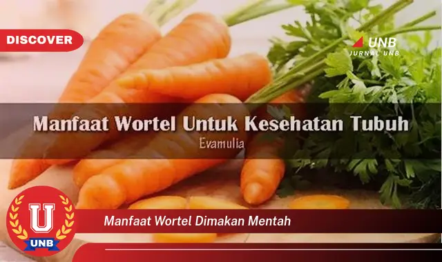 manfaat wortel dimakan mentah manfaat wortel dimakan mentah