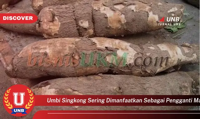 umbi singkong sering dimanfaatkan sebagai pengganti makanan pokok karena
