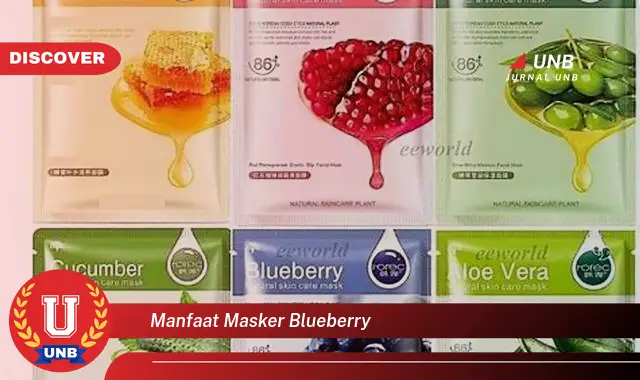 manfaat masker blueberry