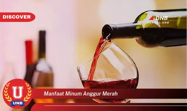 manfaat minum anggur merah