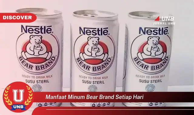 manfaat minum bear brand setiap hari