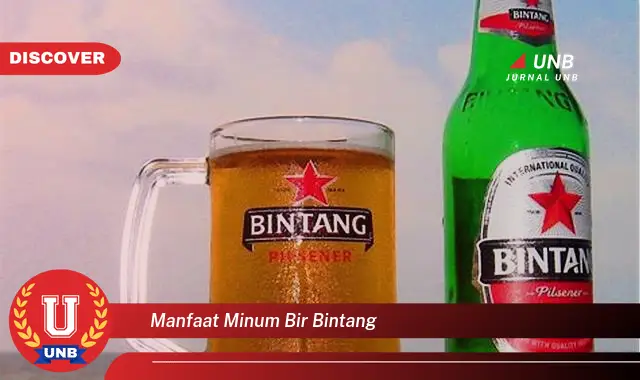 manfaat minum bir bintang manfaat minum bir bintang