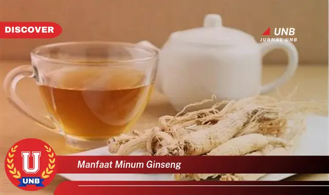 manfaat minum ginseng manfaat minum ginseng