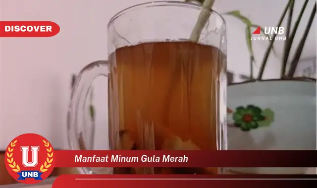 manfaat minum gula merah