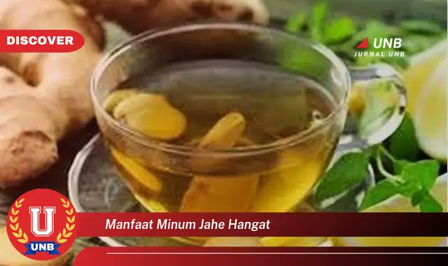 manfaat minum jahe hangat manfaat minum jahe hangat