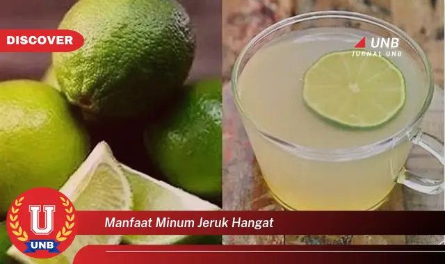 manfaat minum jeruk hangat