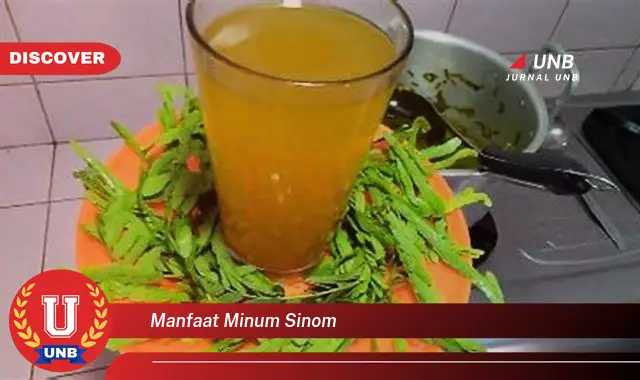 manfaat minum sinom manfaat minum sinom