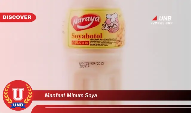 manfaat minum soya manfaat minum soya
