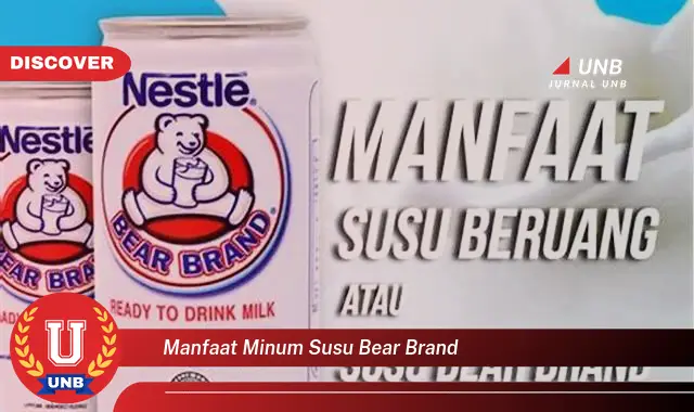 manfaat minum susu bear brand