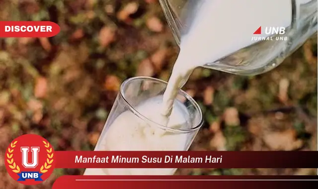 manfaat minum susu di malam hari manfaat minum susu di malam hari