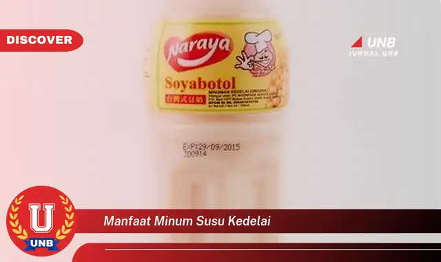 manfaat minum susu kedelai manfaat minum susu kedelai