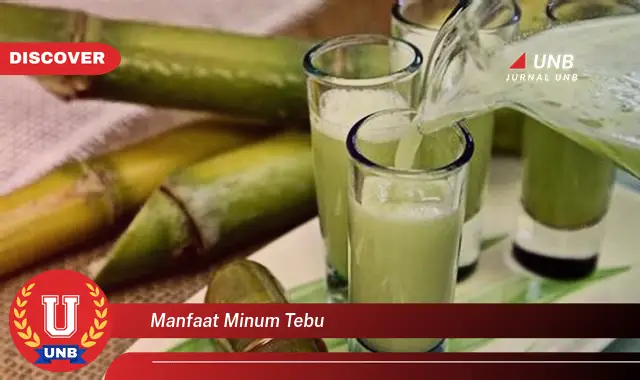 manfaat minum tebu
