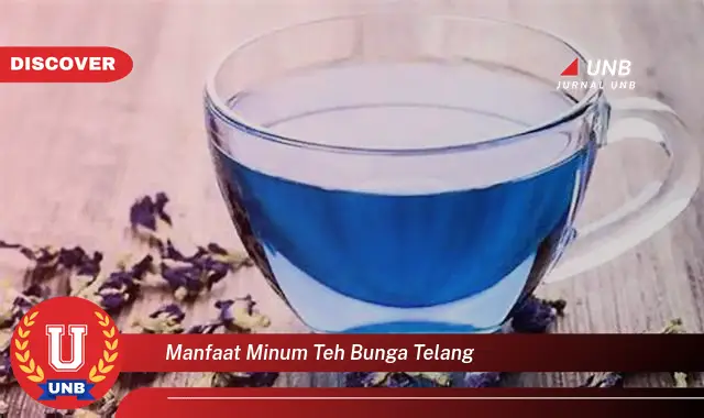 manfaat minum teh bunga telang