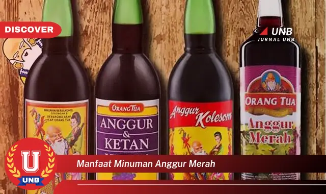manfaat minuman anggur merah manfaat minuman anggur merah