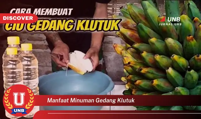 manfaat minuman gedang klutuk