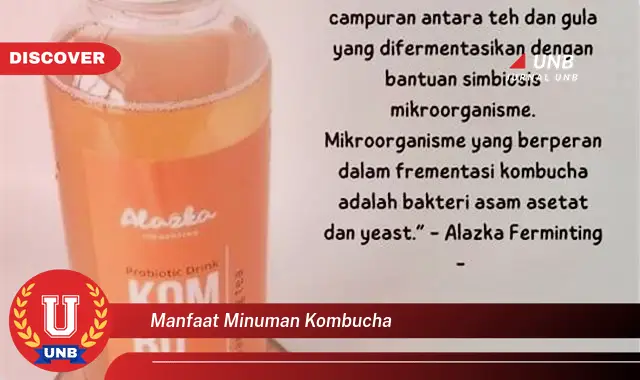 manfaat minuman kombucha