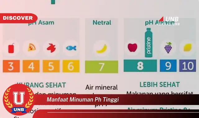 manfaat minuman ph tinggi manfaat minuman ph tinggi