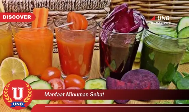 manfaat minuman sehat