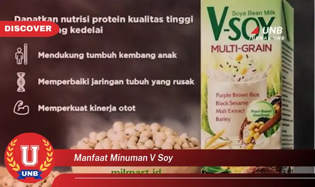 manfaat minuman v soy