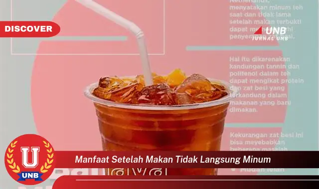 manfaat setelah makan tidak langsung minum