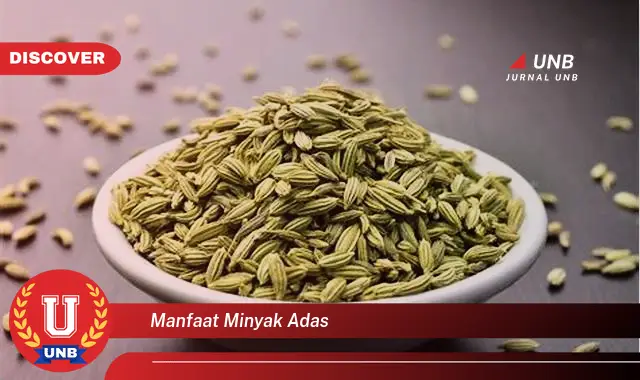 manfaat minyak adas manfaat minyak adas
