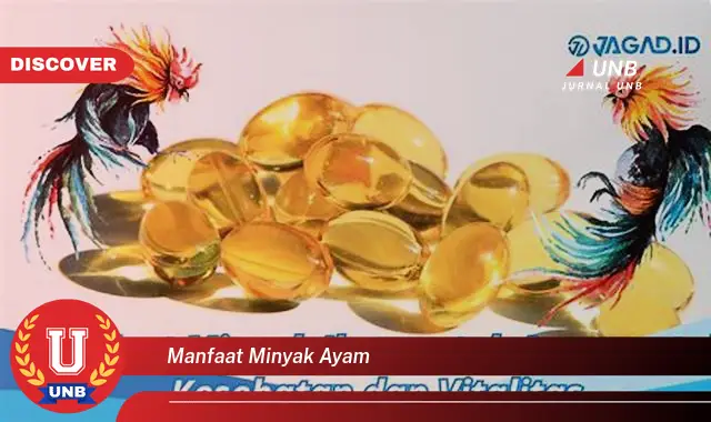manfaat minyak ayam manfaat minyak ayam