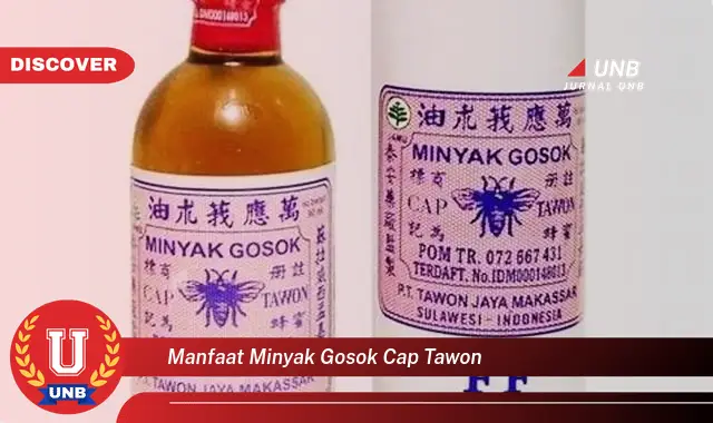 manfaat minyak gosok cap tawon