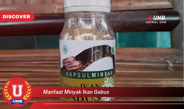 manfaat minyak ikan gabus