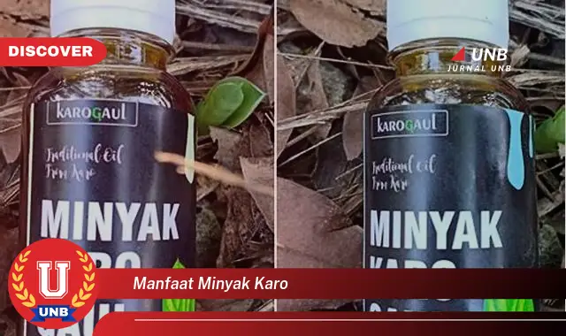 manfaat minyak karo manfaat minyak karo