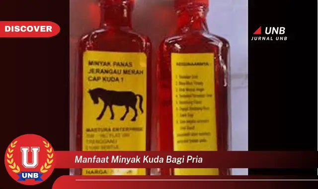manfaat minyak kuda bagi pria