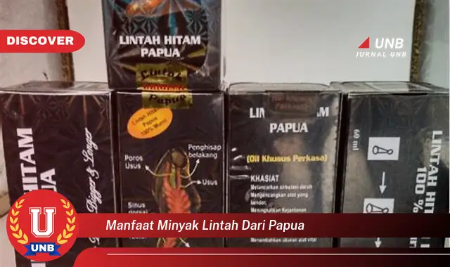 manfaat minyak lintah dari papua