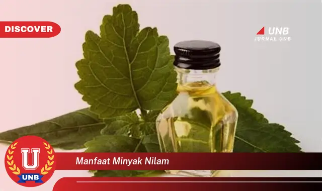 manfaat minyak nilam manfaat minyak nilam