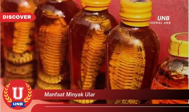 manfaat minyak ular manfaat minyak ular