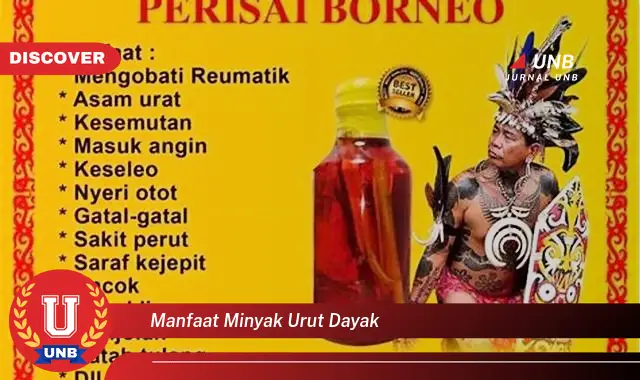 manfaat minyak urut dayak