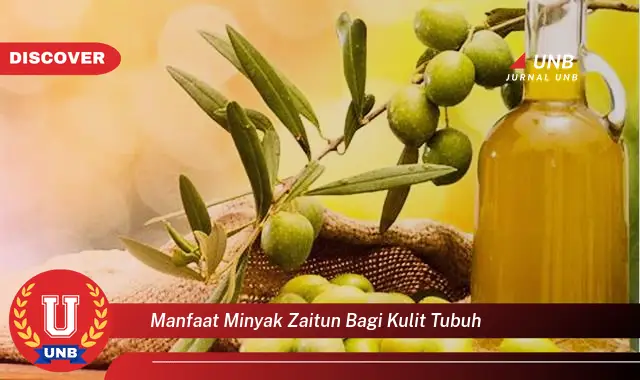 manfaat minyak zaitun bagi kulit tubuh manfaat minyak zaitun bagi kulit tubuh