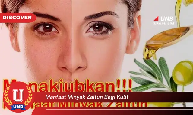 manfaat minyak zaitun bagi kulit manfaat minyak zaitun bagi kulit
