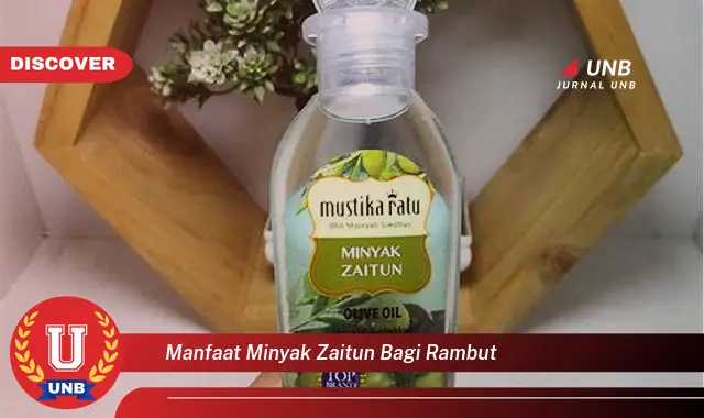 manfaat minyak zaitun bagi rambut