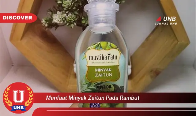 manfaat minyak zaitun pada rambut