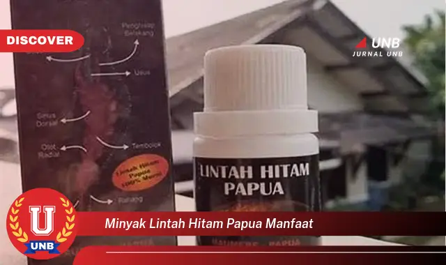 minyak lintah hitam papua manfaat