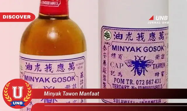 Intip 6 Manfaat Minyak Tawon yang Wajib Kamu Intip