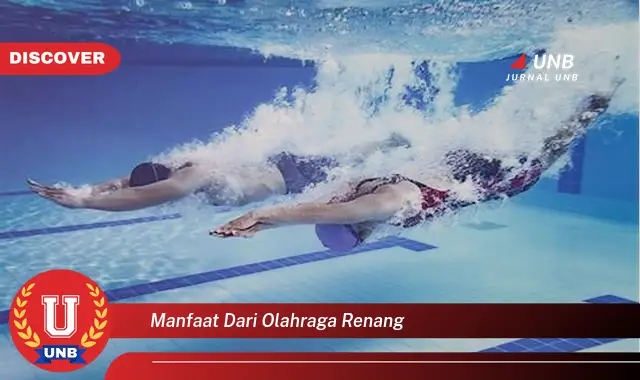 manfaat dari olahraga renang manfaat dari olahraga renang