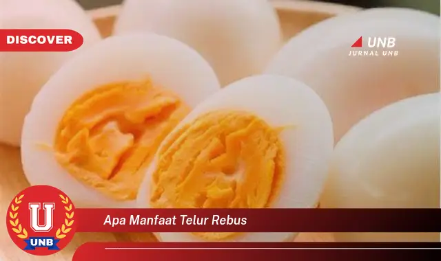 Ketahui 8 Manfaat Telur Rebus yang Jarang Diketahui