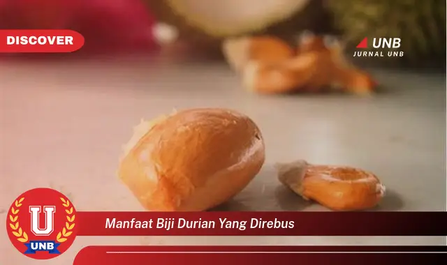 9 Manfaat Mengejutkan Biji Durian Rebus untuk Kesehatan 9 Manfaat Mengejutkan Biji Durian Rebus untuk Kesehatan