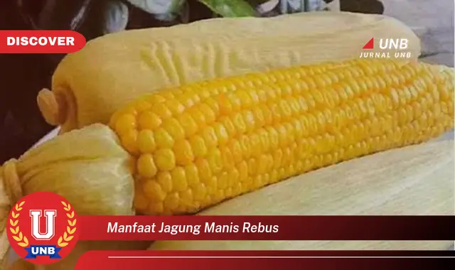 9 Manfaat Jagung Manis Rebus yang Jarang Diketahui