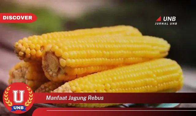 Ketahui 8 Manfaat Jagung Rebus yang Jarang Diketahui