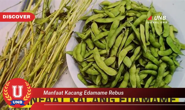 manfaat kacang edamame rebus